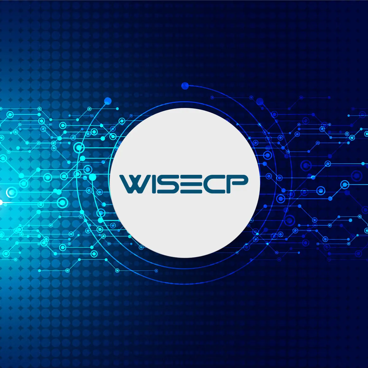 What is WiseCP ?